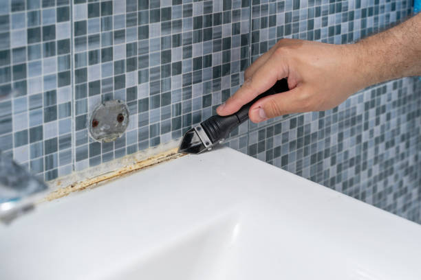 Best Bathroom Mold Remediation in County Center, VA